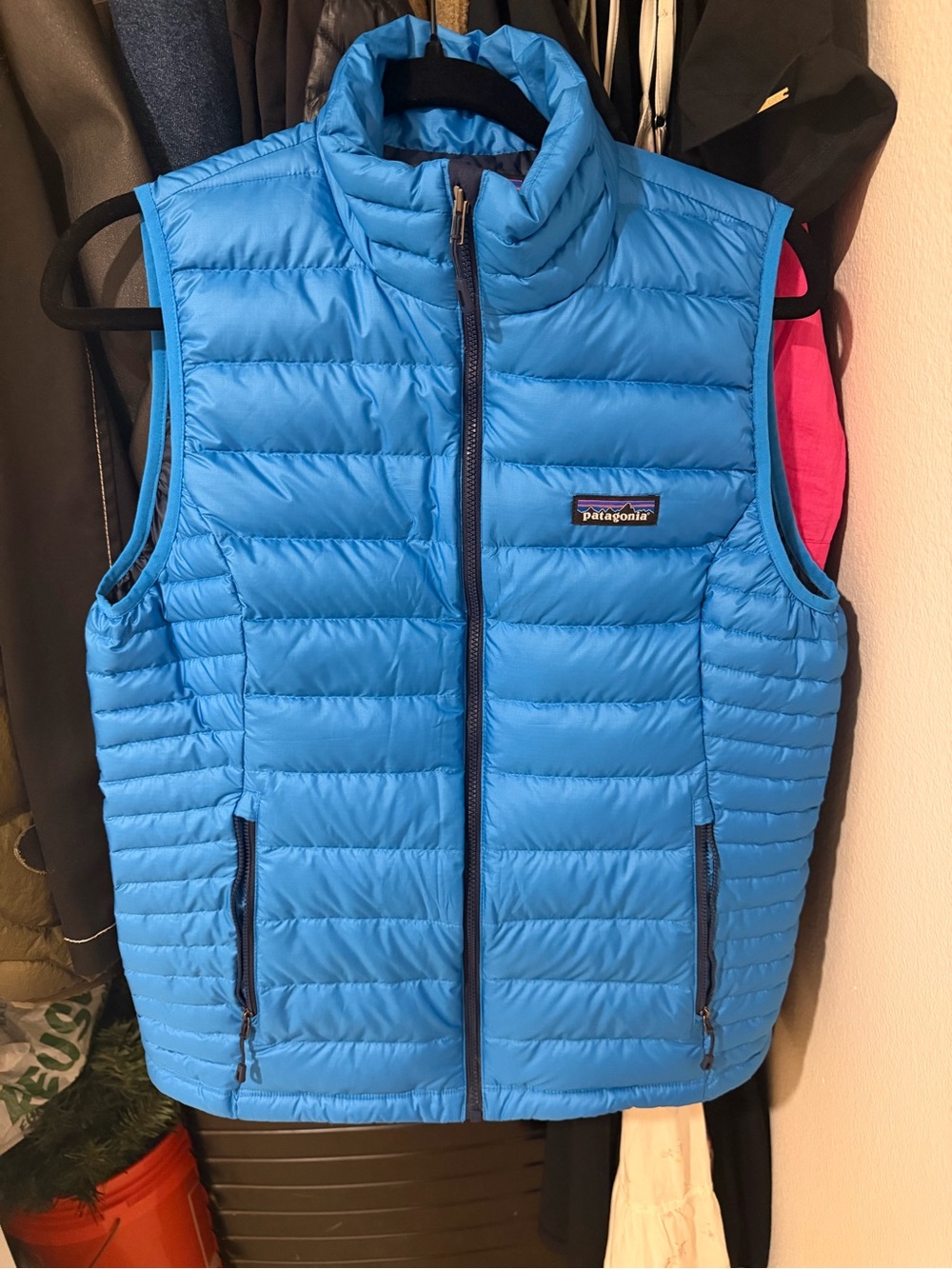 Patagonia Blue Puffer Down Vest